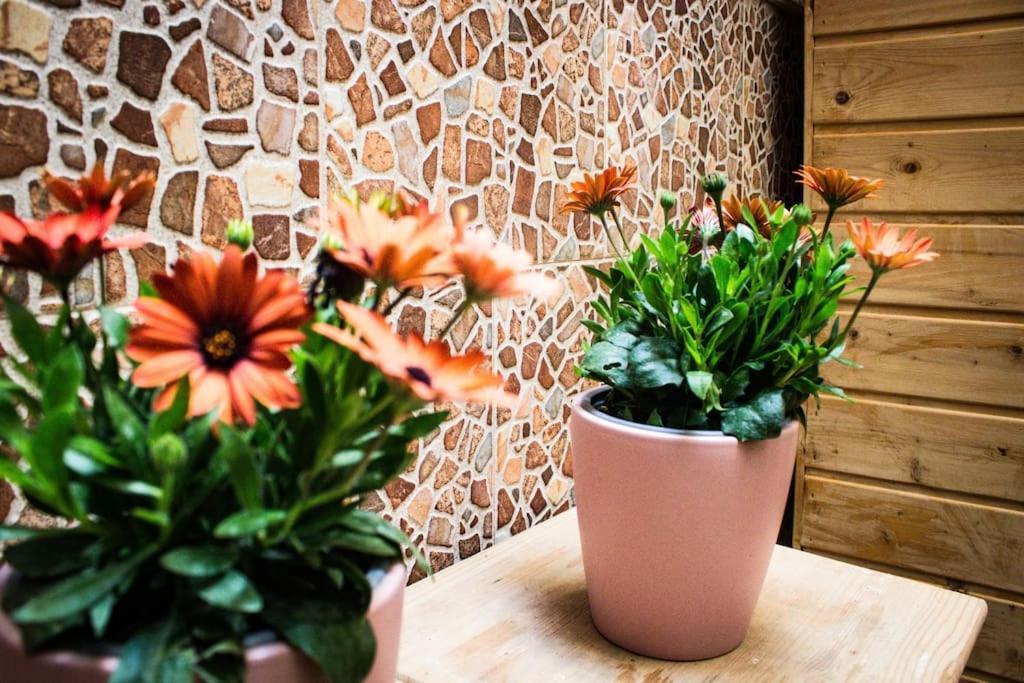 Apartamento Venus Daire Ronda Dış mekan fotoğraf