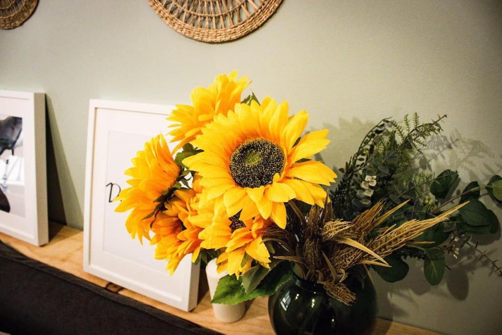 Apartamento Venus Daire Ronda Dış mekan fotoğraf